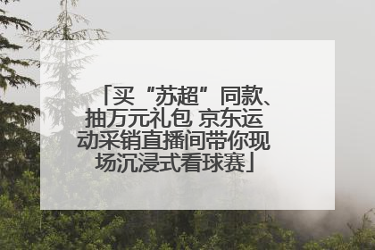 买“苏超”同款、抽万元礼包 京东运动采销直播间带你现场沉浸式看球赛