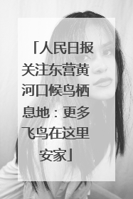 人民日报关注东营黄河口候鸟栖息地：更多飞鸟在这里安家