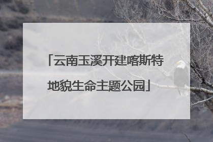 云南玉溪开建喀斯特地貌生命主题公园