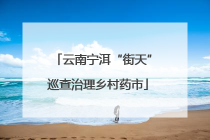 云南宁洱“街天”巡查治理乡村药市