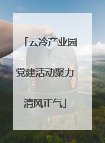 云冷产业园党建活动聚力清风正气