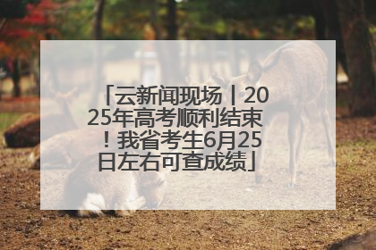 云新闻现场丨2025年高考顺利结束！我省考生6月25日左右可查成绩
