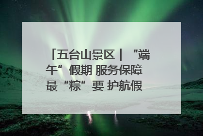 五台山景区｜“端午”假期 服务保障最“粽”要 护航假期“不打烊”
