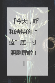 今天，呼和浩特的“蓝”底一寸照刷屏啦！