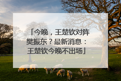 今晚，王楚钦对阵樊振东？最新消息：王楚钦今晚不出场
