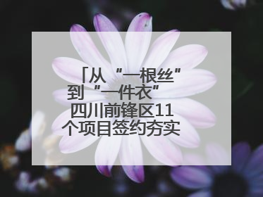 从“一根丝”到“一件衣” 四川前锋区11个项目签约夯实轻纺全产业链