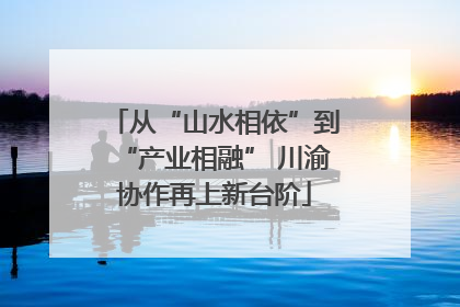 从“山水相依”到“产业相融” 川渝协作再上新台阶