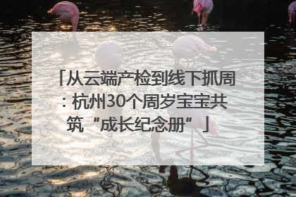 从云端产检到线下抓周：杭州30个周岁宝宝共筑“成长纪念册”