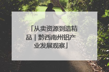 从卖资源到造精品｜黔西南州铝产业发展观察