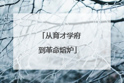 从育才学府到革命熔炉