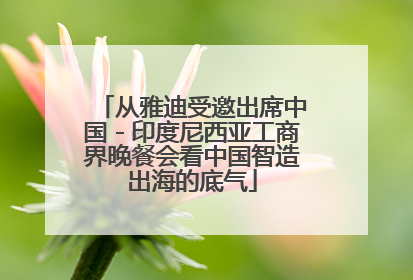 从雅迪受邀出席中国－印度尼西亚工商界晚餐会看中国智造出海的底气