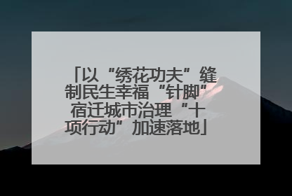 以“绣花功夫”缝制民生幸福“针脚” 宿迁城市治理“十项行动”加速落地
