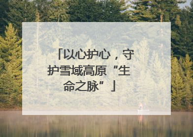 以心护心，守护雪域高原“生命之脉”