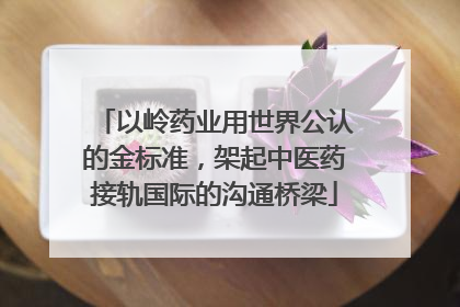 以岭药业用世界公认的金标准，架起中医药接轨国际的沟通桥梁