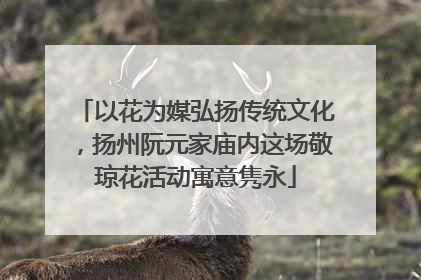 以花为媒弘扬传统文化，扬州阮元家庙内这场敬琼花活动寓意隽永