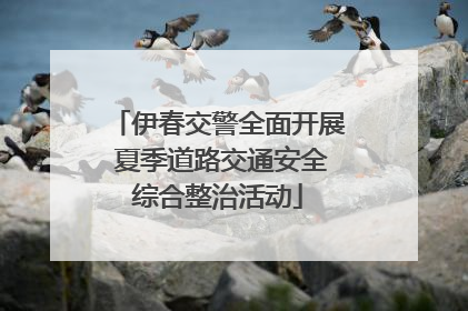 伊春交警全面开展 夏季道路交通安全综合整治活动