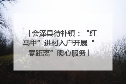 会泽县待补镇：“红马甲”进村入户开展“零距离”暖心服务