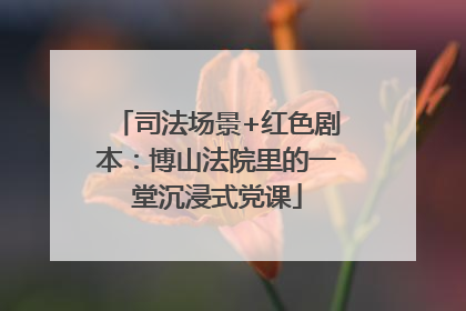 司法场景+红色剧本：博山法院里的一堂沉浸式党课