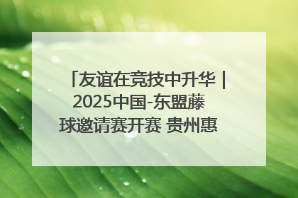 友谊在竞技中升华｜2025中国-东盟藤球邀请赛开赛 贵州惠水燃动“空中芭蕾”