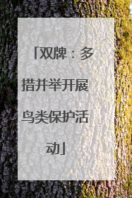 双牌：多措并举开展鸟类保护活动