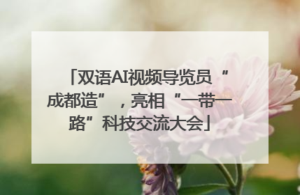 双语AI视频导览员“成都造”，亮相“一带一路”科技交流大会