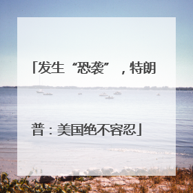 发生“恐袭”，特朗普：美国绝不容忍