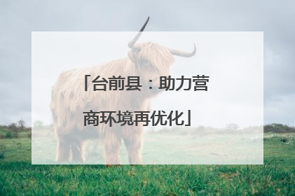 台前县：助力营商环境再优化