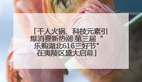 千人火锅、科技元素引爆消费新热潮 第三届“乐购湖北616三好节”在夷陵区盛大启幕