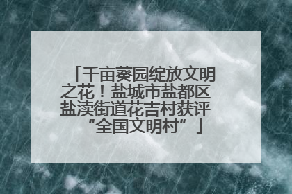 千亩葵园绽放文明之花！盐城市盐都区盐渎街道花吉村获评“全国文明村”