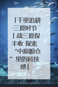 千里追耕·三夏时节丨战三夏保丰收 探索“中原粮仓”里的科技感