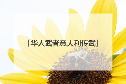 华人武者意大利传武