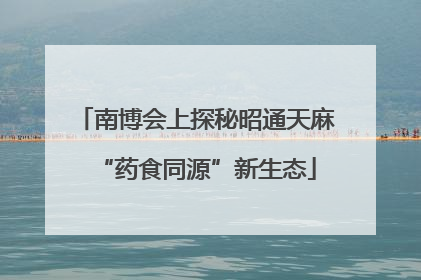 南博会上探秘昭通天麻“药食同源”新生态