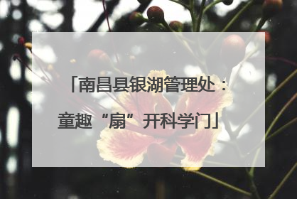 南昌县银湖管理处：童趣“扇”开科学门