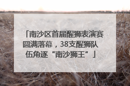 南沙区首届醒狮表演赛圆满落幕，38支醒狮队伍角逐“南沙狮王”