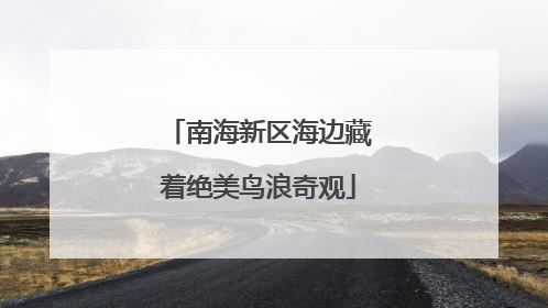 南海新区海边藏着绝美鸟浪奇观