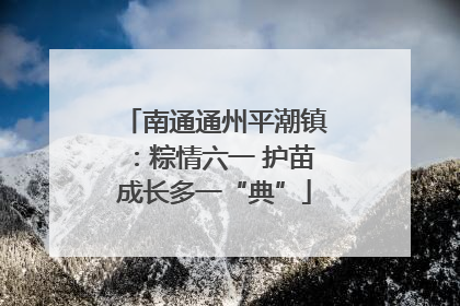 南通通州平潮镇：粽情六一 护苗成长多一“典”