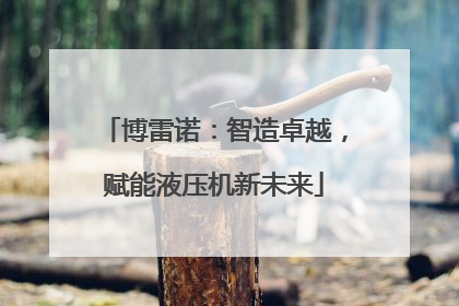 博雷诺：智造卓越，赋能液压机新未来