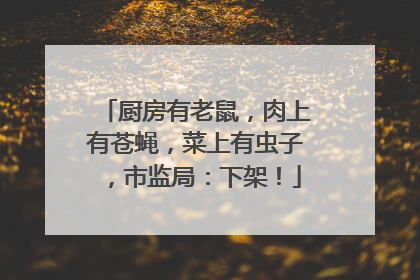 厨房有老鼠，肉上有苍蝇，菜上有虫子，市监局：下架！