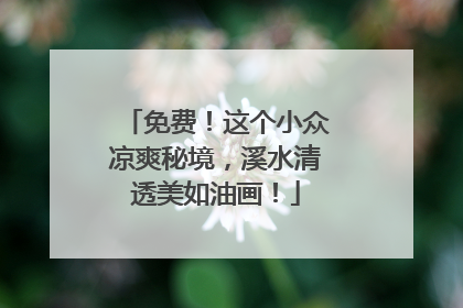 免费！这个小众凉爽秘境，溪水清透美如油画！