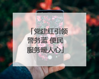 党建红引领警务蓝 便民服务暖人心