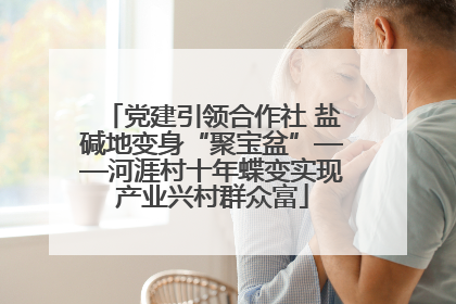 党建引领合作社 盐碱地变身“聚宝盆”——河涯村十年蝶变实现产业兴村群众富