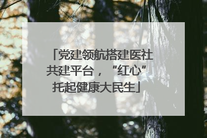 党建领航搭建医社共建平台，“红心”托起健康大民生