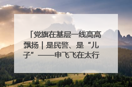 党旗在基层一线高高飘扬｜是民警、是“儿子”——申飞飞在太行山中的一线坚守