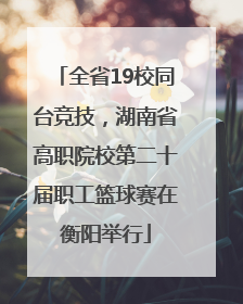 全省19校同台竞技，湖南省高职院校第二十届职工篮球赛在衡阳举行