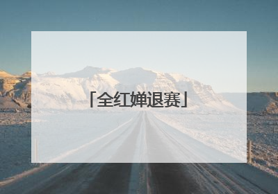 全红婵退赛