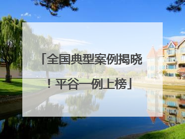 全国典型案例揭晓！平谷一例上榜