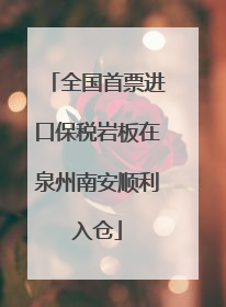 全国首票进口保税岩板在泉州南安顺利入仓