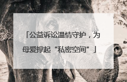 公益诉讼温情守护，为母爱撑起“私密空间”