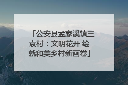 公安县孟家溪镇三袁村：文明花开 绘就和美乡村新画卷