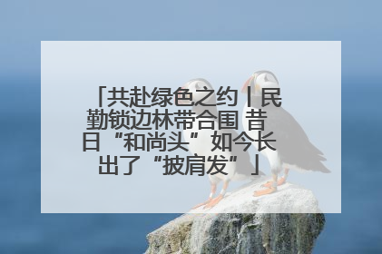 共赴绿色之约丨民勤锁边林带合围 昔日“和尚头”如今长出了“披肩发”